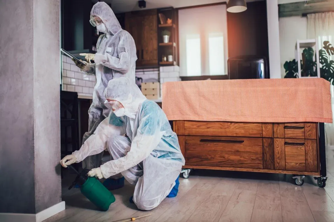 TCB Pest Control technicians treating a  Canberra home